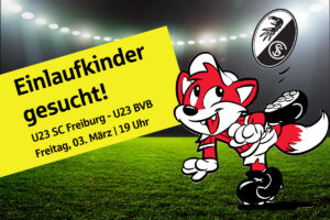 Teaserbild