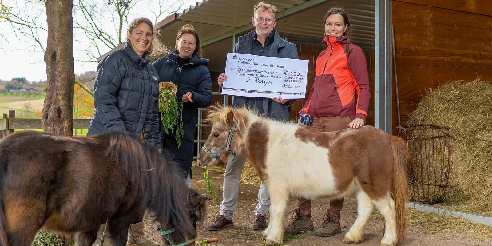 Katrin Morat und Helge Siewert von der Sparkasse übergeben auf dem Schulbauernhof der Domäne Hochburg einen Spendenscheck über 1.200 Euro für zwei Ponys, begleitet von drei weiteren Personen, den Ponys Fee und Tita und einem Korb voller Karotten