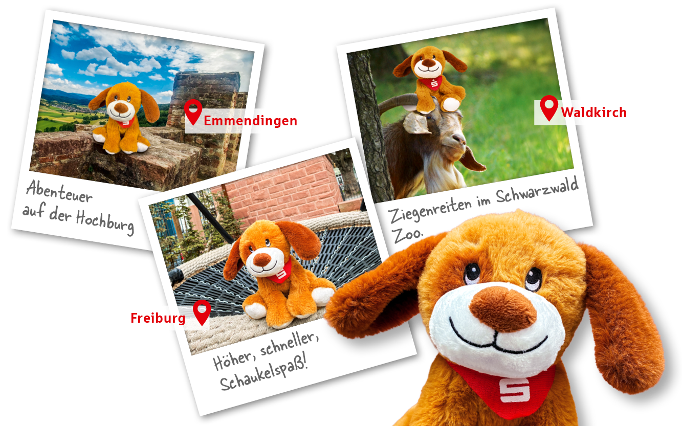 Das Weltspartags-Maskottchen Malou ist auf drei Polaroid-Fotos in unterschiedlichen Ausflugszielen zu sehen – als Beispiel für den Fotowettbewerb der Sparkasse Freiburg. Zu sehen sind: Malou auf der Hochburg bei Emmendingen mit Blick auf die Landschaft („Abenteuer auf der Hochburg“), auf einer Ziege im Schwarzwaldzoo in Waldkirch („Ziegenreiten im Schwarzwald Zoo“) und auf einer Schaukel in Freiburg („Höher, schneller, Schaukelspaß!“). Malou sitzt außerdem groß im Vordergrund mit einem roten Sparkassen-Halstuch.