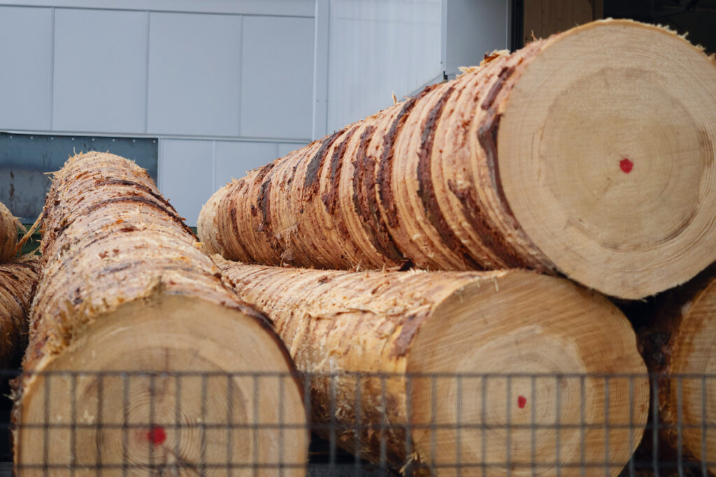 Mehrere entrindete Weißtannenstämme liegen gestapelt auf einem Lagerplatz vor einer Industriehalle.