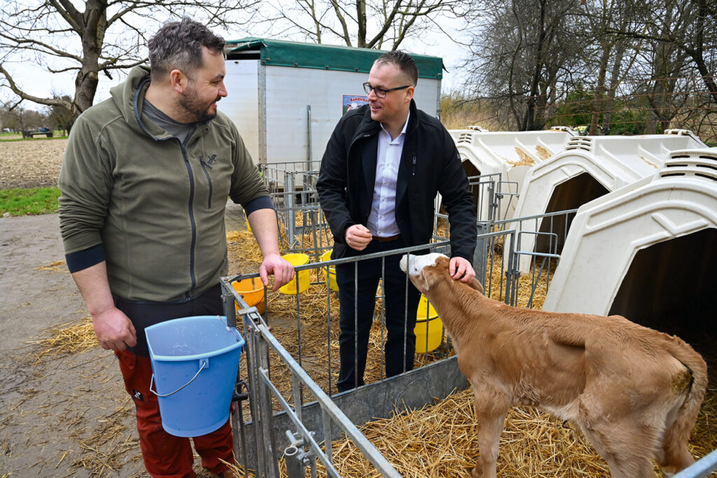Ralf Stephan und Florian Ruf stehen bei Kälberboxen auf dem Sändlehof, während Ruf ein Kalb streichelt.