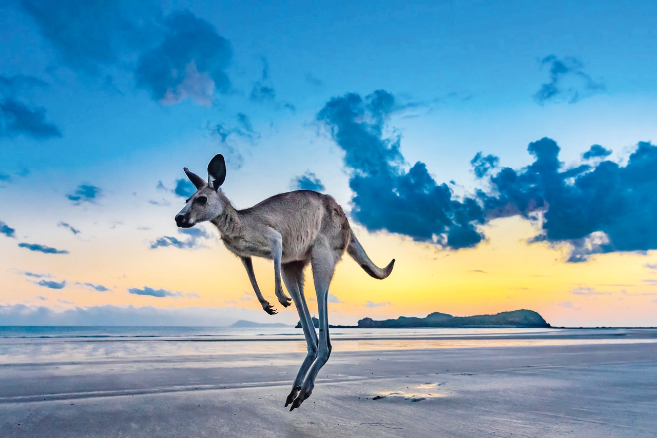 Australien, Aneta Dirk Bleyer